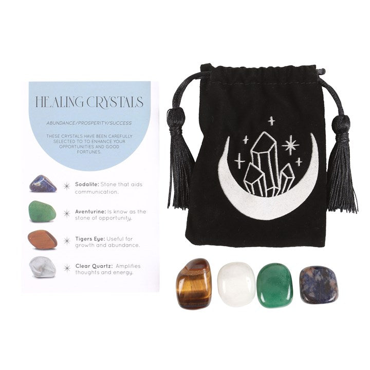 Prosperity & Success Healing Crystal Gift Set with Ceramic Moon Trinket Dish